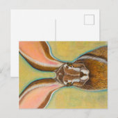 Jack Rabbit Briefkaart (Voorkant / Achterkant)