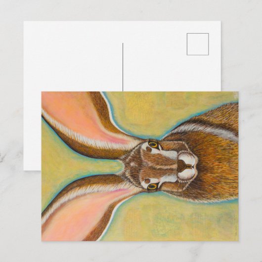 Jack Rabbit Briefkaart (Voorkant / Achterkant)