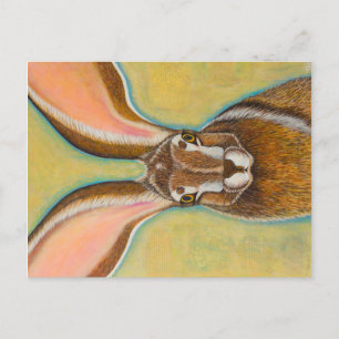 Jack Rabbit Briefkaart