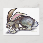 Jack Rabbit Briefkaart (Voorkant)