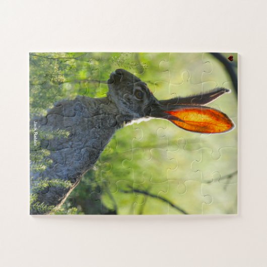 Jack Rabbit Legpuzzel (Horizontaal)