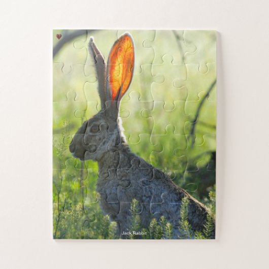 Jack Rabbit Legpuzzel (Verticaal)