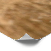 Jack rabbit met foto's in grote posters (Hoek)