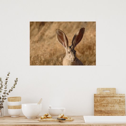 Jack rabbit met foto's in grote posters (Keuken)