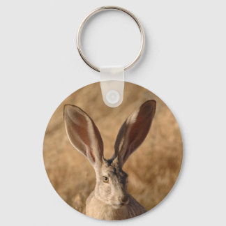 Jack rabbit met sleutelhanger voor hoge oorkleur