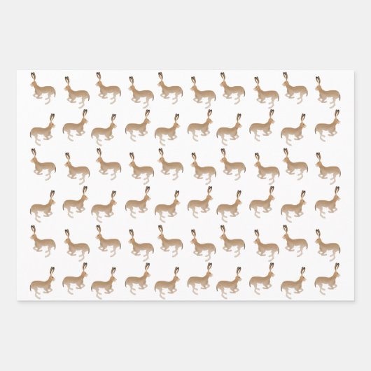 Jack Rabbits Wrapping Paper Sheets (Voorkant 2)