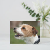 jack russel doodsbang briefkaart (Staand voorkant)