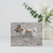 jack russel doodsbang briefkaart (Staand voorkant)