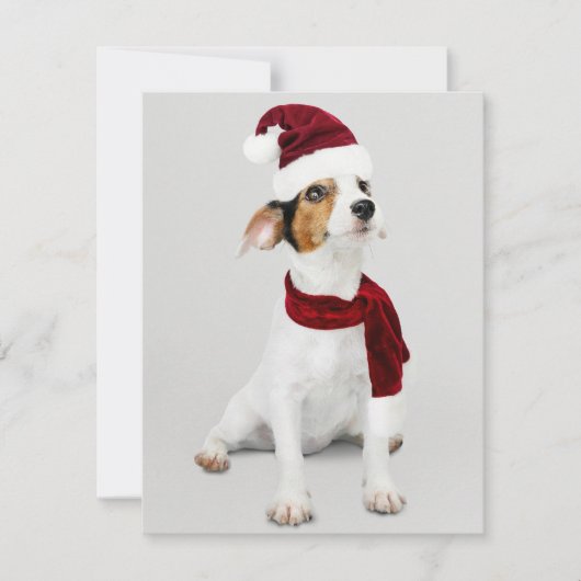 Jack Russel Puppy met Kerstman Hoed Feestdagenkaart (Voorkant)