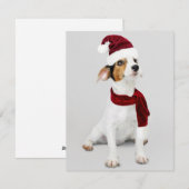 Jack Russel Puppy met Kerstman Hoed Feestdagenkaart (Voorkant / Achterkant)