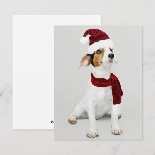 Jack Russel Puppy met Kerstman Hoed Feestdagenkaart (Voorkant / Achterkant)