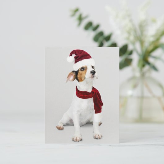 Jack Russel Puppy met kerstmuts Feestdagenkaart (Staand voorkant)