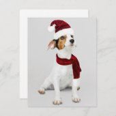 Jack Russel Puppy met kerstmuts Feestdagenkaart (Voorkant / Achterkant)