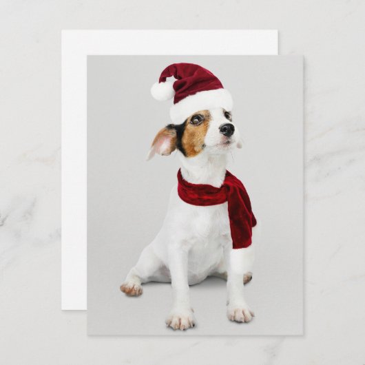 Jack Russel Puppy met kerstmuts Feestdagenkaart (Voorkant / Achterkant)