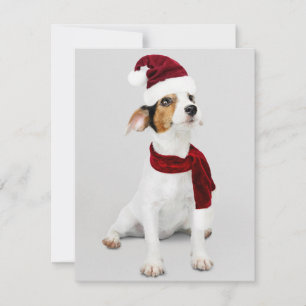 Jack Russel Puppy met Santa Hat Feestdagenkaart