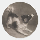 Jack Russel Stickers (Voorkant)