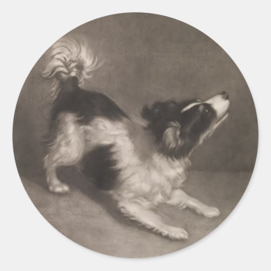 Jack Russel Stickers (Voorkant)