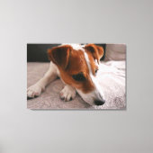 Jack Russel Terier Canvas Afdruk (Voorkant)