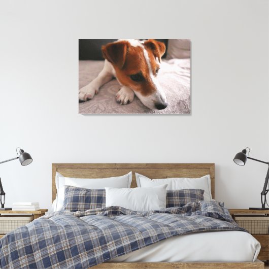Jack Russel Terier Canvas Afdruk (Insitu (Slaapkamer))