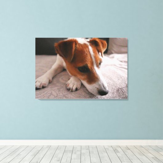 Jack Russel Terier Canvas Afdruk (Insitu (Houten vloer))