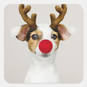 JACK RUSSEL TERRIER ALS REINDEER STICKER