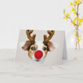 JACK RUSSEL TERRIER AS REINDEER Wenskaart Kaart (Gele Bloem)