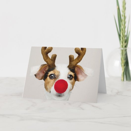 JACK RUSSEL TERRIER AS REINDEER Wenskaart Kaart (Voorkant)