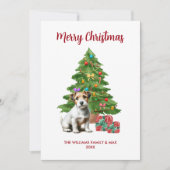 Jack Russel Terrier Kerst Kaart (Voorkant)