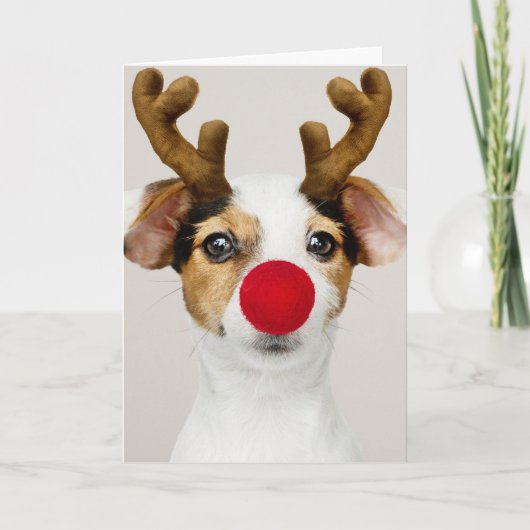 JACK RUSSEL TERRIER KERSTMIS Gevouwen Kaart (Voorkant)