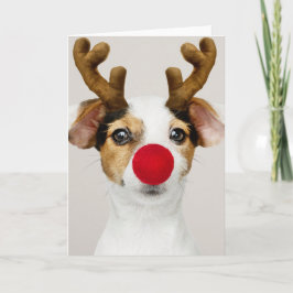 JACK RUSSEL TERRIER KERSTMIS Gevouwen Kaart