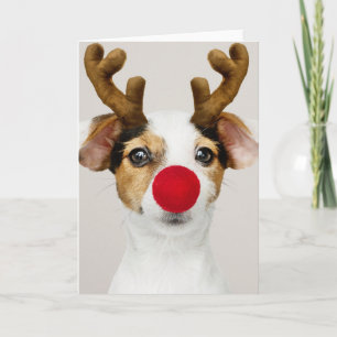 JACK RUSSEL TERRIER KERSTMIS Gevouwen Kaart