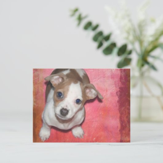 Jack Russel Terrier Puppy op Roze Briefkaart (Staand voorkant)