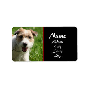 Jack Russell-adreslabel Etiket