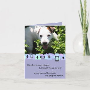 Jack Russell Birthday Greetings Kaart