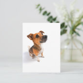Jack Russell Briefkaart (Staand voorkant)