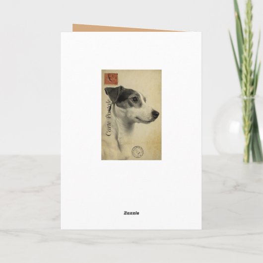 Jack Russell  Briefkaart (Achterkant)