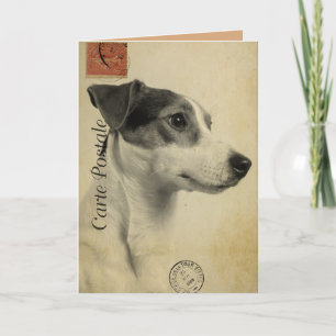 Jack Russell Briefkaart