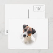 Jack Russell Briefkaart (Voorkant / Achterkant)