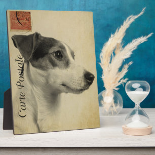 Jack Russell  Briefkaart Fotoplaat
