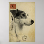 Jack Russell  Briefkaart Poster (Voorkant)