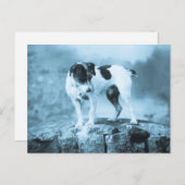  Jack Russell Cyan Tone Briefkaart (Voorkant / Achterkant)