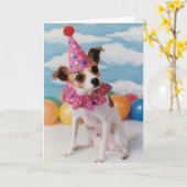 Jack Russell Dog Birthday Card Kaart (Gele Bloem)