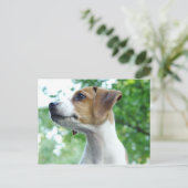 Jack Russell Dog Briefkaart (Staand voorkant)