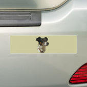 Jack Russell Dog bumper sticker (Op auto)