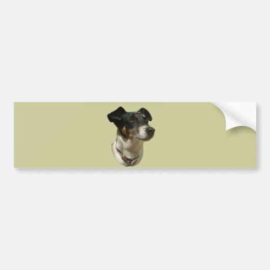 Jack Russell Dog bumper sticker (Voorkant)