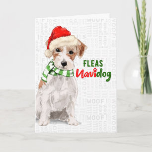 Jack Russell Dog Funny Fleas Navidog Kerstmis Feestdagen Kaart