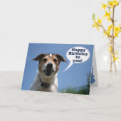 Jack Russell dog Happy Birthday card Kaart (Gele Bloem)