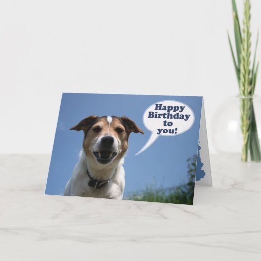 Jack Russell dog Happy Birthday card Kaart (Voorkant)