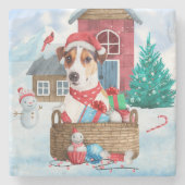 Jack Russell Dog in het sneeuwbalhuis Stenen Onderzetter (Voorkant)