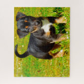 Jack Russell Dog. Legpuzzel (Verticaal)